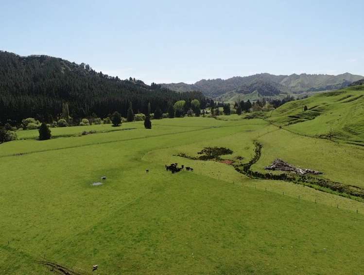 167 Whenuakura Road Waimiha-Ongarue_0