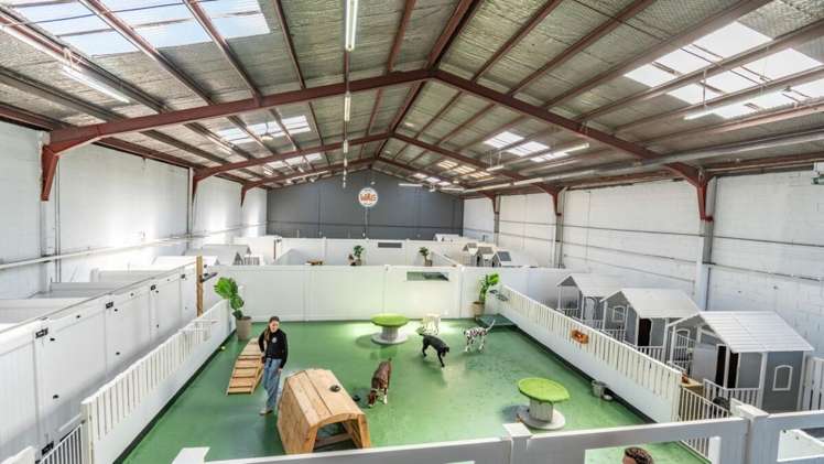 211-213 Waltham Road Sydenham_19