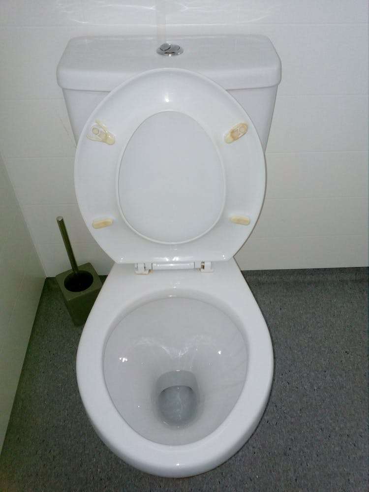 3 Rimu Street Matamata_11