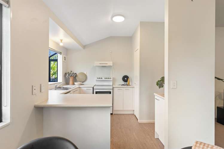 157A Rosebank Road Avondale_8