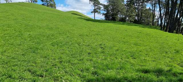 191 McPhail Road Oropi_3
