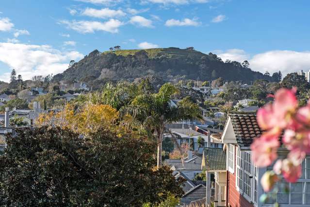 818 Mount Eden Road Mt Eden_2