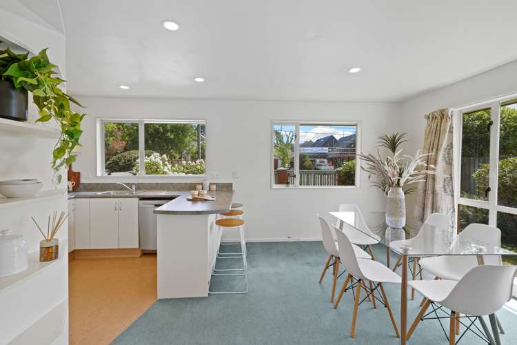 66 Norwood Street Sydenham_15