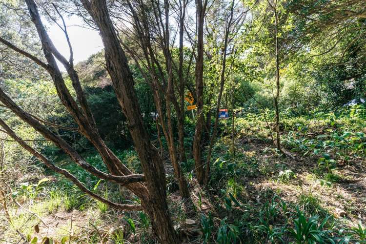 12 Obrien Road Omiha_10