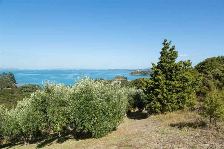 29 Rothschild Terrace Waiheke Island_29