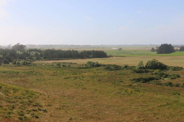 76 Corrigans Road Makikihi_8