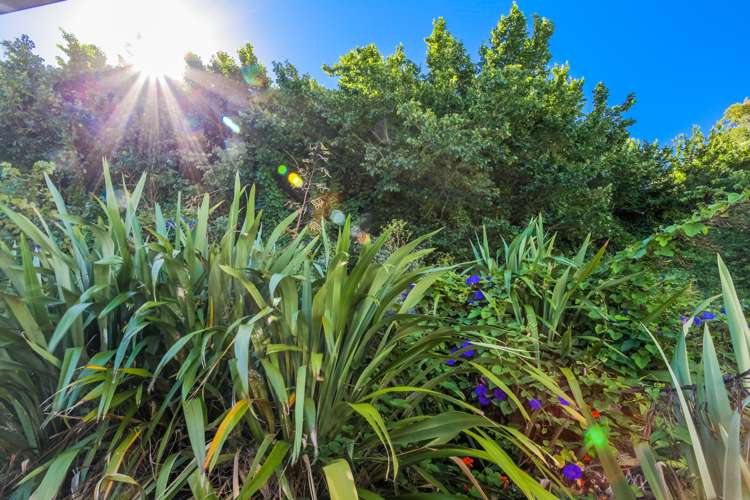 339 Wakefield Quay Stepneyville_16