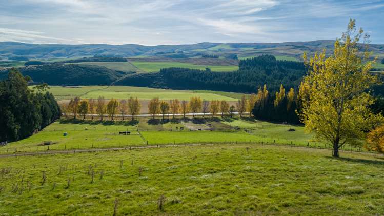 3126 Old Coach Road Clinton and Surrounds_40