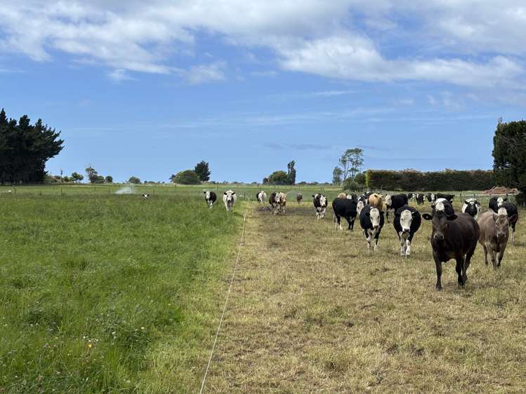 174 Shortland Road Oamaru_17