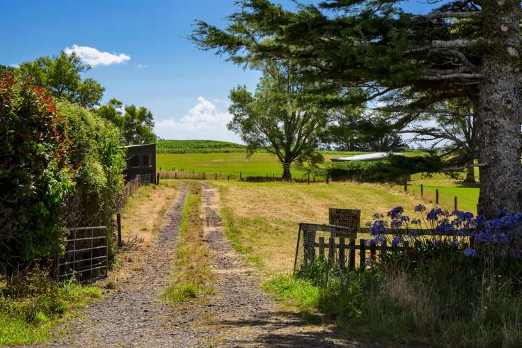 1256 Mangorei Road Mangorei_6