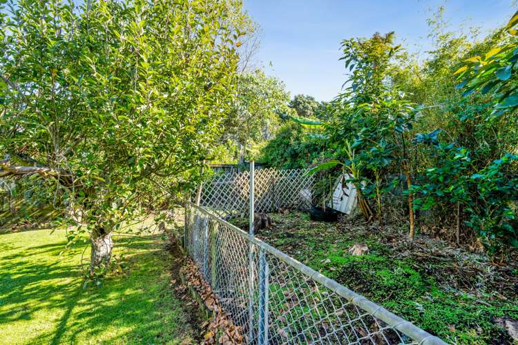 16 Walsh Road Westown_35