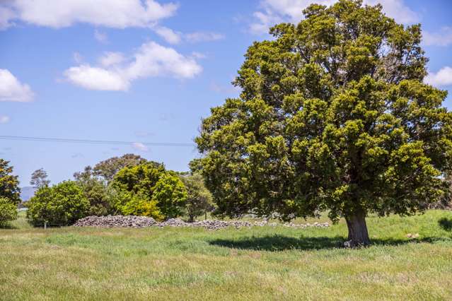 635 Chester Road West Taratahi_3