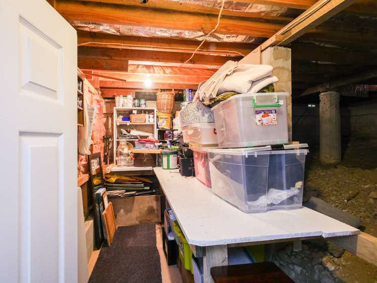 20 Owen Street Green Island_21