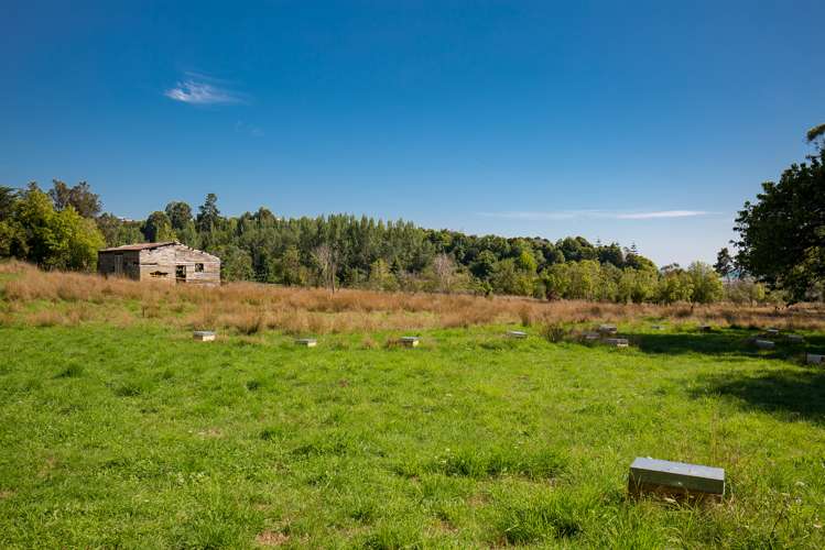 199 Stafford Drive Ruby Bay_18