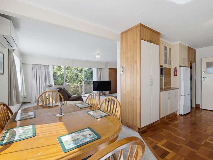 11 Bristol Street Tamatea_6