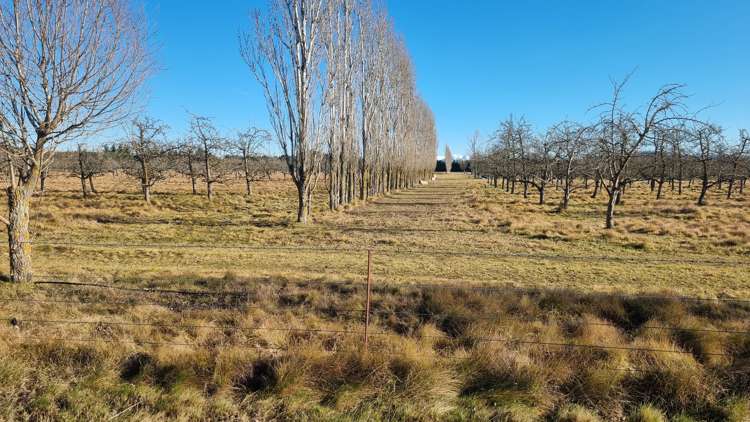 831 Downs Road West Eyreton_10