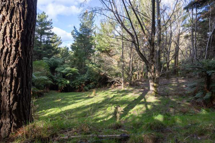 No 1 Line Pohangina_19