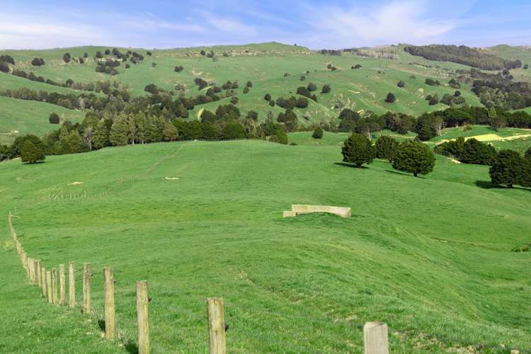 895 Wairamarama Onewhero Road Onewhero_19