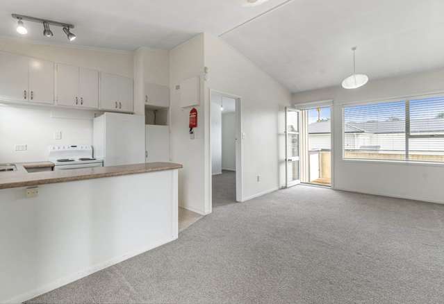 Bright one bedroom in Mt Eden