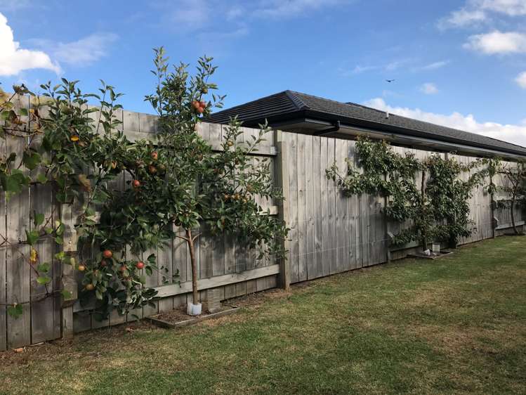 6 Kowi Lakes Drive One Tree Point_13