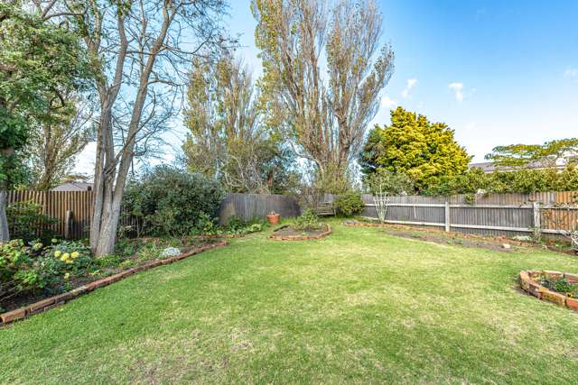 30 Moore Avenue Tawhero_4