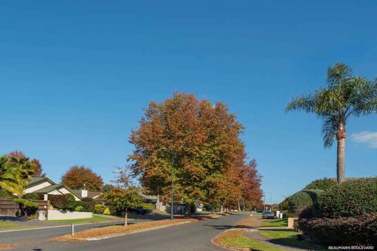 46 Kinloch Drive Bethlehem_22