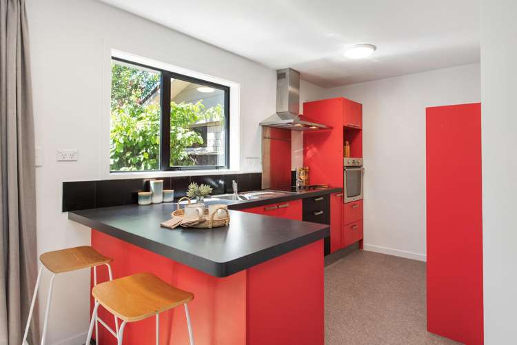 7 Roxburgh Street Sydenham_12