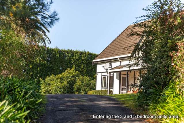 117 Rea Road RD 2 Katikati_4