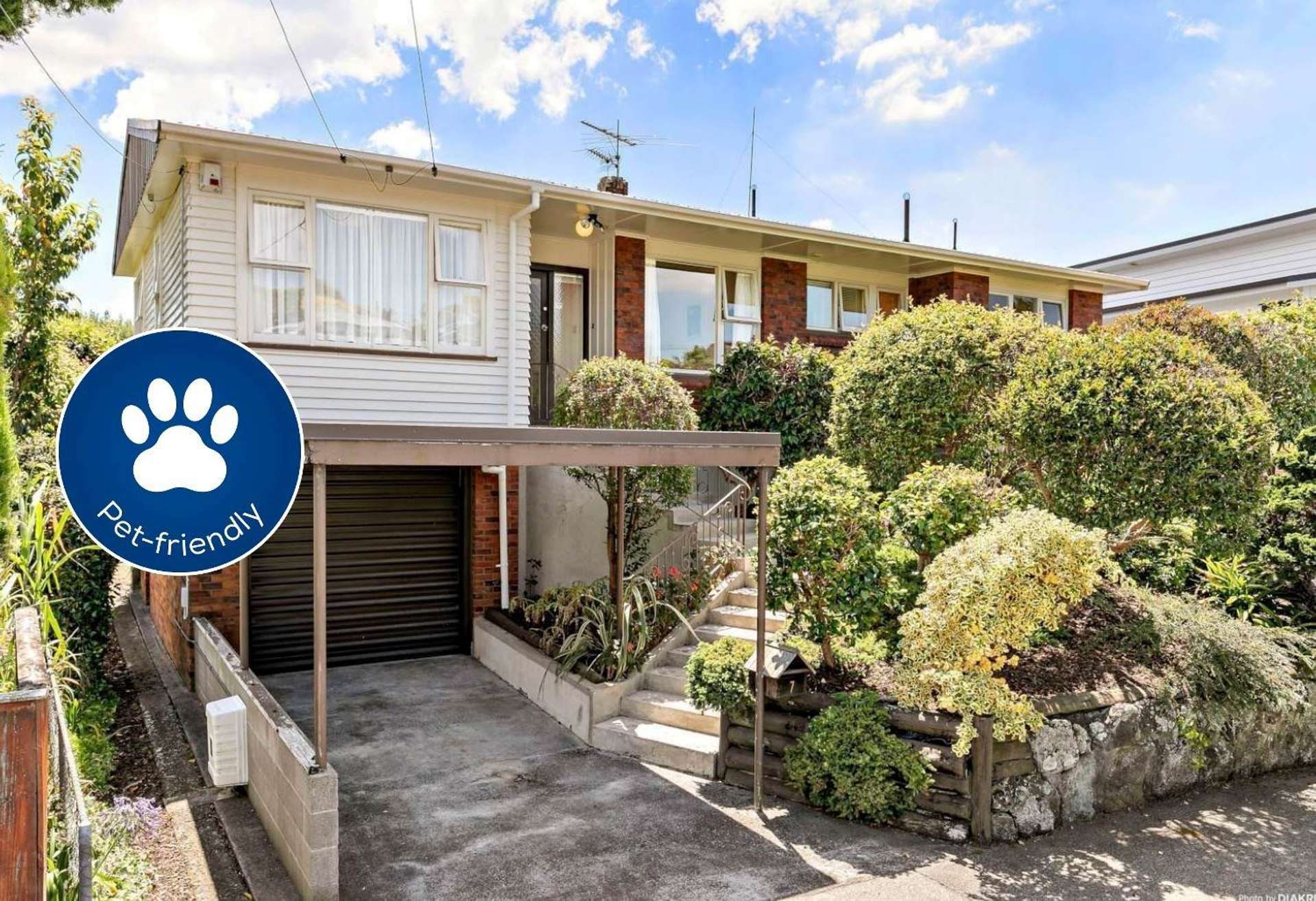 7 Aberfoyle Street Epsom_0