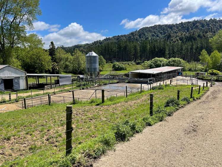 67 Okoko Road Otorohanga_9