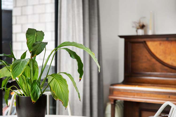 4 Ngahau Street Warkworth_16