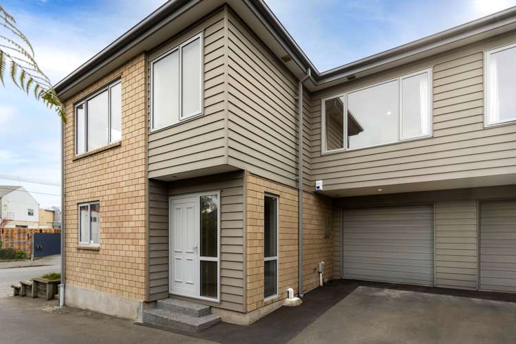 41a Austin Street Sydenham_15
