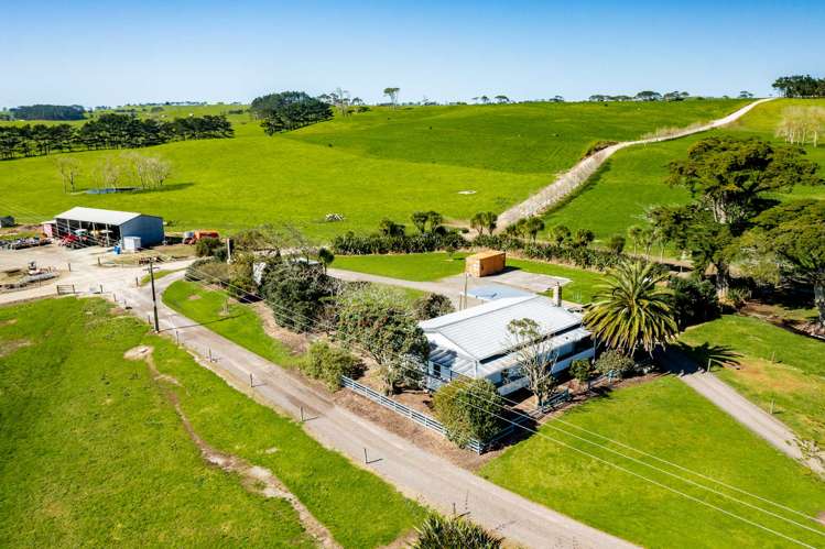 455 West Coast Road Te Kopuru_12