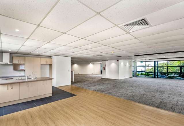 19 Edwin Street Mt Eden_1