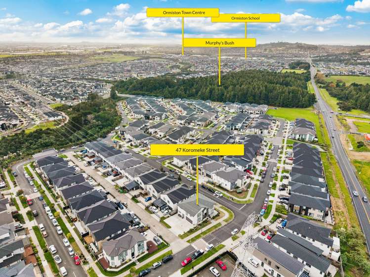 47 Koromeke Street Flat Bush_40