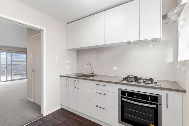 320A Richardson Road Mount Roskill_3