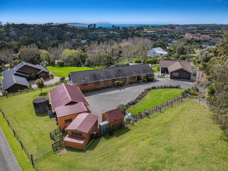 20 Roberts Road Matakatia Bay_28
