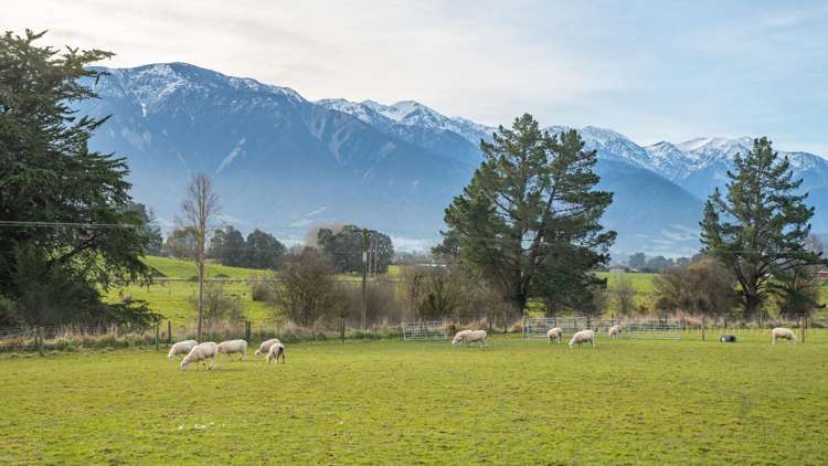 87 Green Lane Kaikoura_15