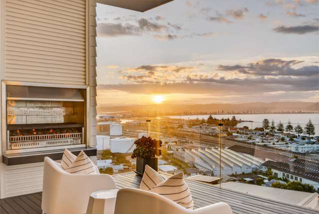 40 Roslyn Road Bluff Hill_3