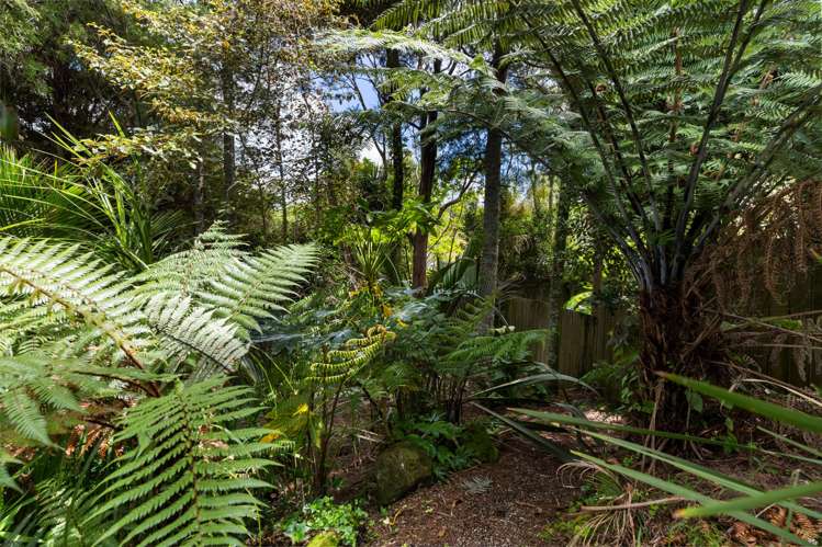 13 Hollywood Avenue Titirangi_19