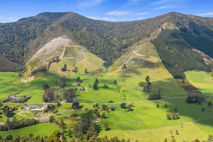 650 Ronga Road Rai Valley_33