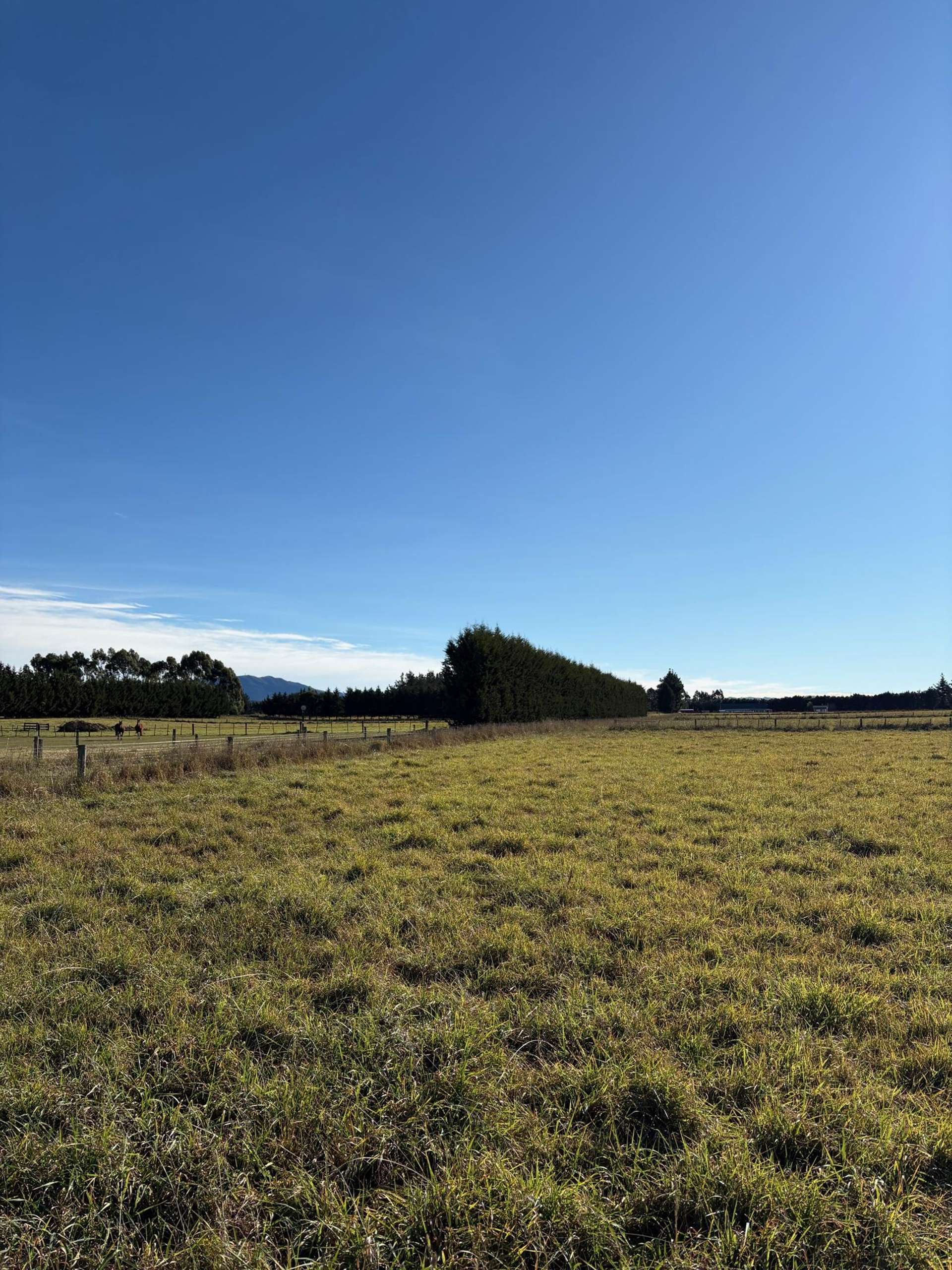 76 Duffs Road Balcairn_0