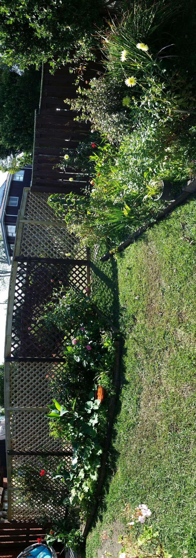 3/151 Astley Avenue New Lynn_9