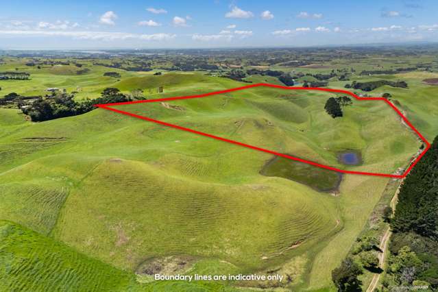 473 Bothwell Park Road Otaua_2