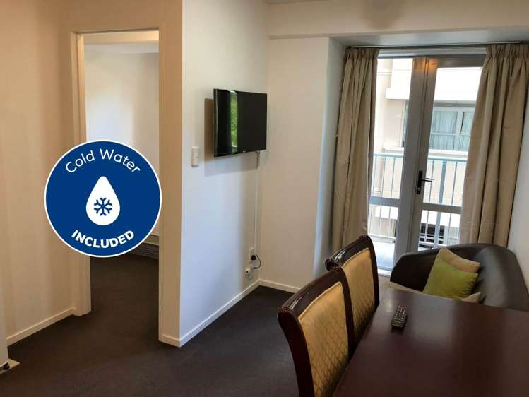 3I/113 Vincent Street_0