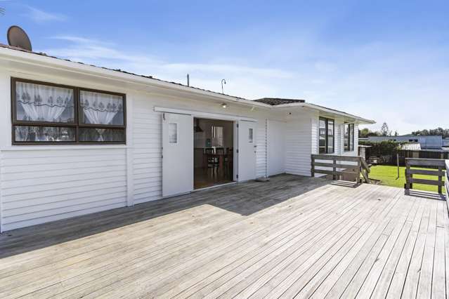 85 Vine Street Mangere East_2