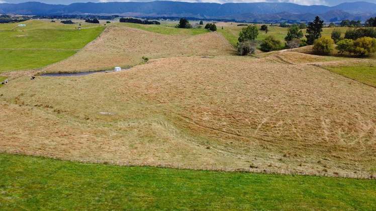 76934 State Highway 2 Dannevirke_16