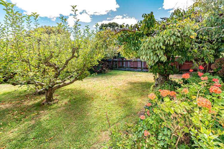 28 Rimu Street Gonville_22