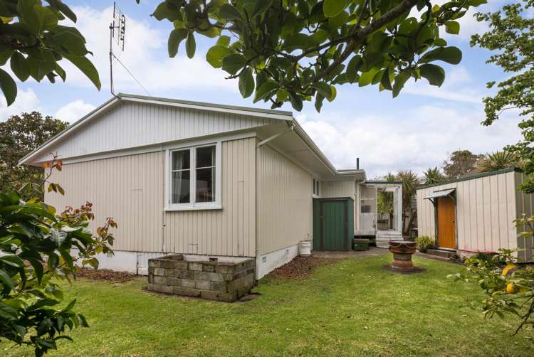 101 Alfred Street Thames_29