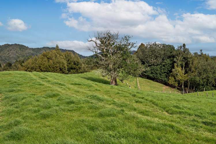 636 Otara Road Opotiki_4